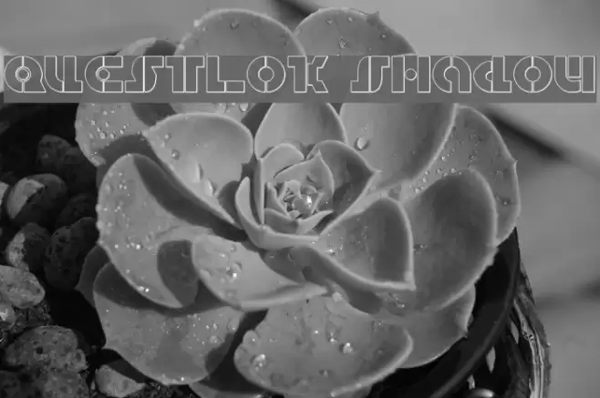 Questlok Shadow Font examples