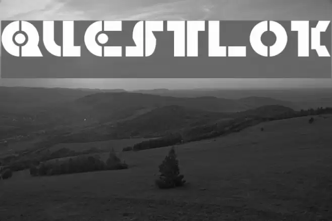 Questlok Polices examples