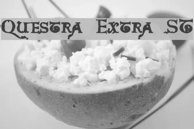 Questra Extra ST Polices examples
