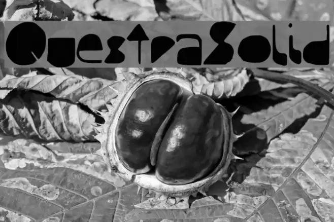 QuestraSolid Font examples