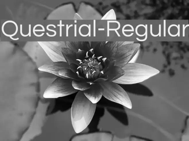 Questrial-Regular Font examples
