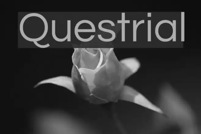 Questrial Font examples