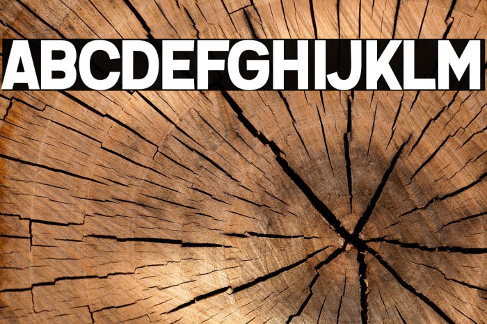 Questrian 2 Example 1