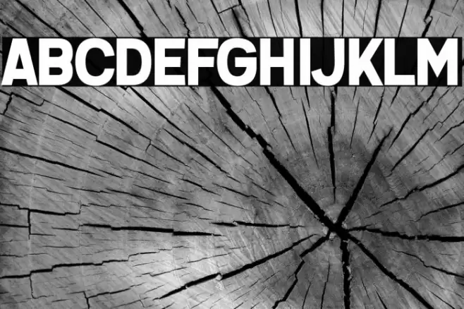 Questrian 2 Font examples