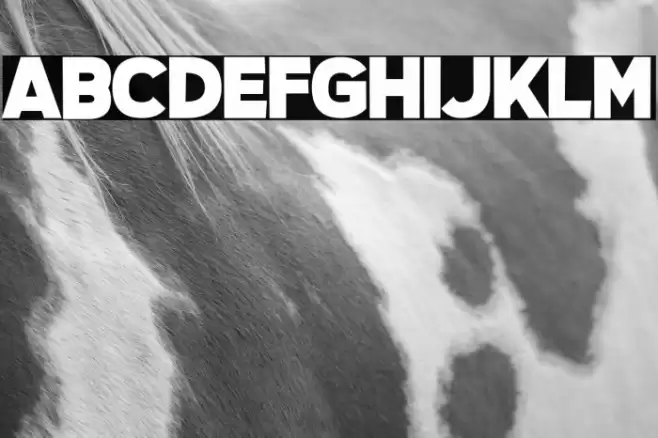 Questrian 3 Font examples