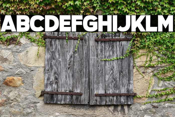 Questrian 3 Example 3