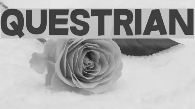 Questrian Font examples