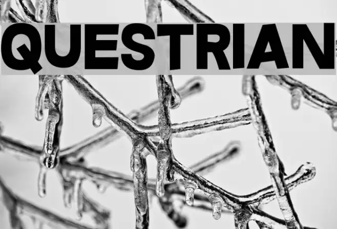 Questrian Font examples