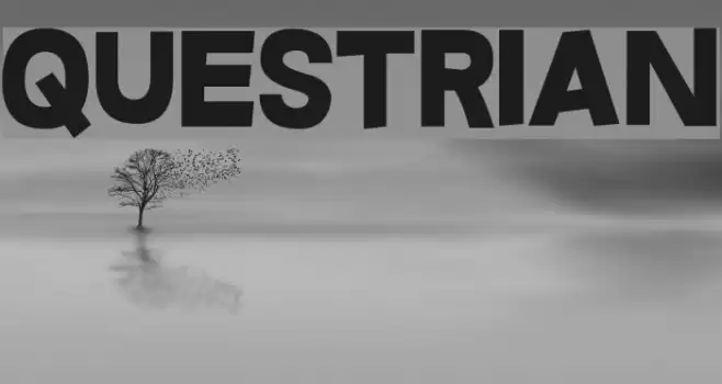 Questrian Font examples