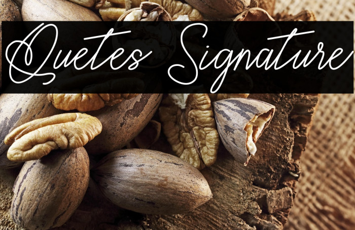 Quetes Signature Caratteri examples