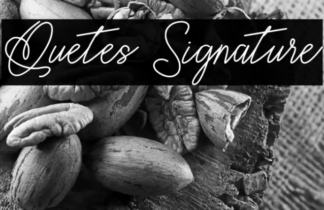 Quetes Signature Font examples