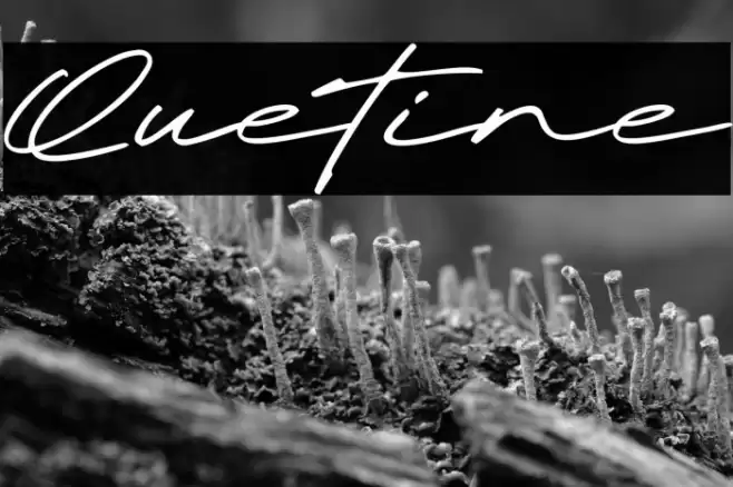 Quetine Caratteri examples