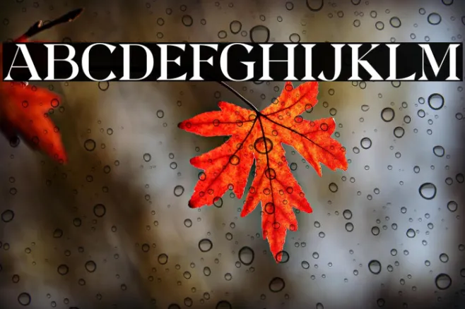 QuetrySerif-Regular Example 2
