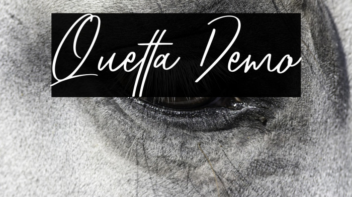 Quetta Demo Example 3