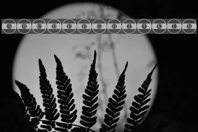 Queue Regular Font examples