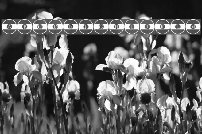 Queue Regular Font examples