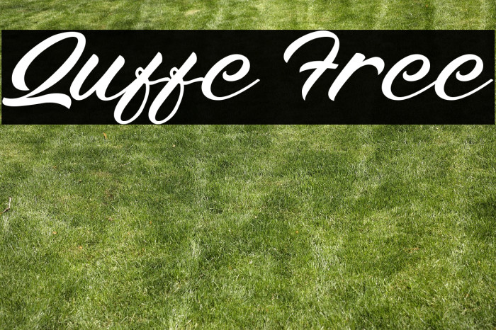 Quffe Free Example 2