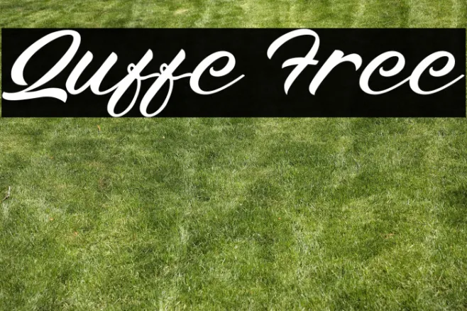 Quffe Free Example 2