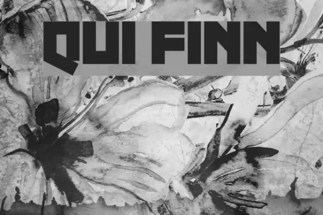 Qui Finn Font examples