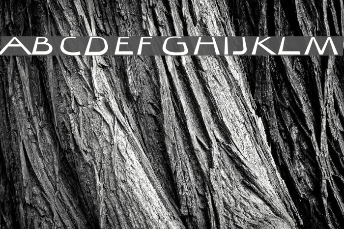 Quibel Bold Italic Font examples