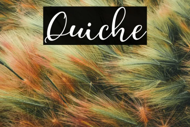 Quiche Example 1