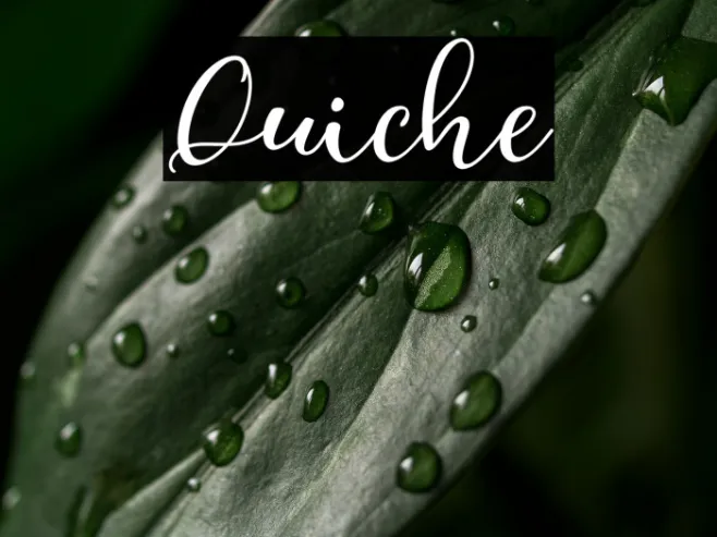 Quiche Example 3