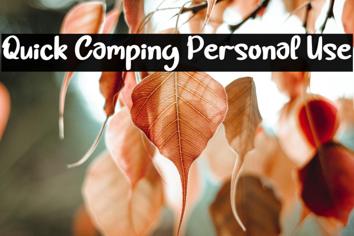 Quick Camping Personal Use Example 1