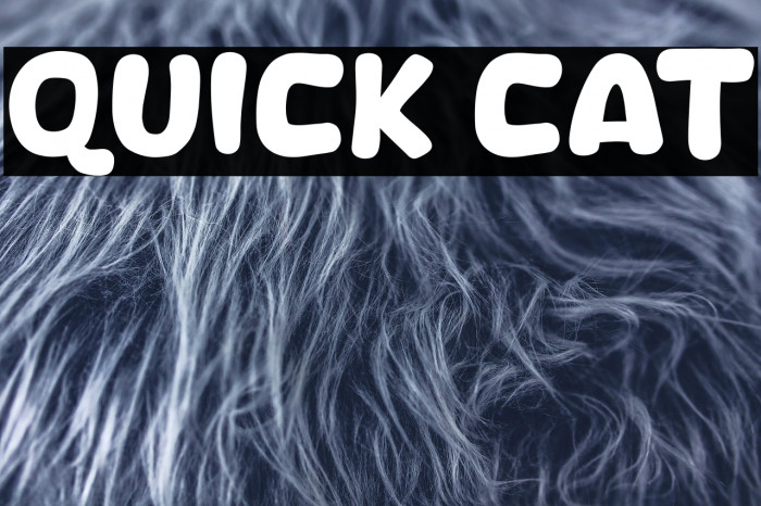 Quick Cat Example 1