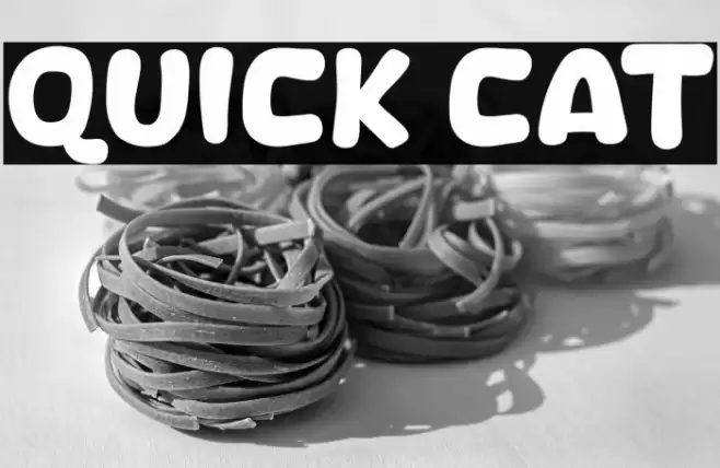 Quick Cat Font examples