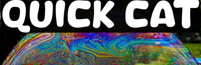 Quick Cat Example 3