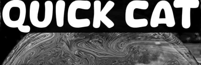 Quick Cat Font examples