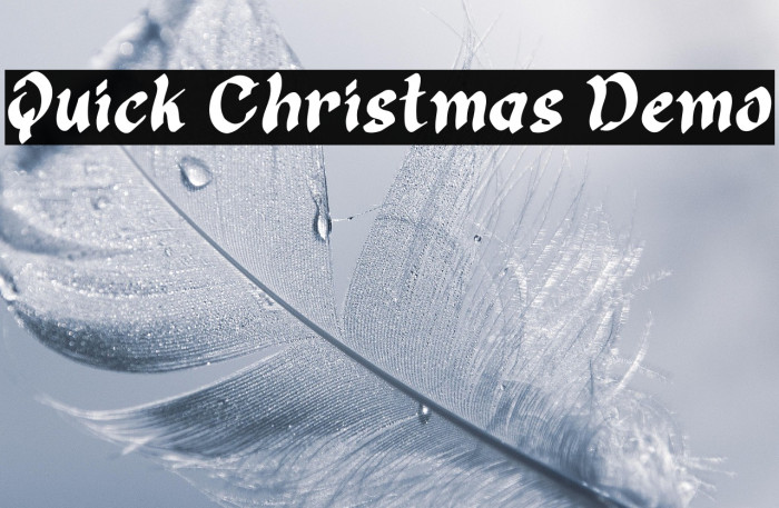 Quick Christmas Demo Example 2