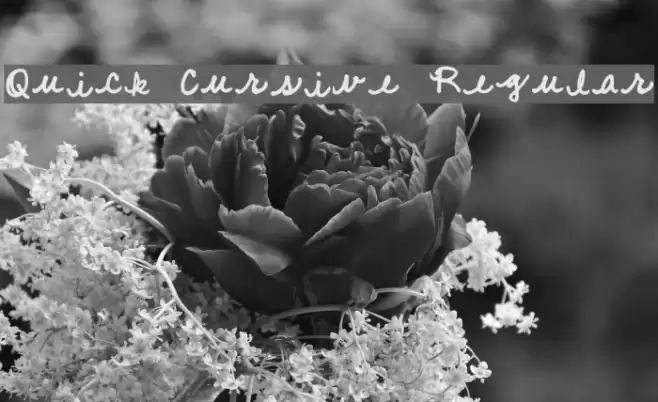 Quick Cursive Regular Font examples