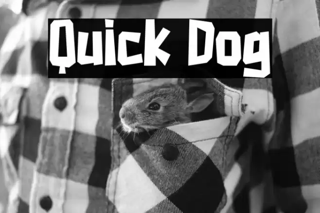 Quick Dog Font examples