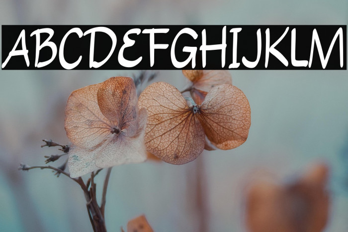 Quick Fruit Caratteri examples