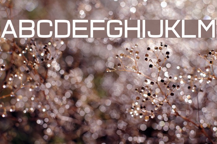 Quick Fuse Example 2