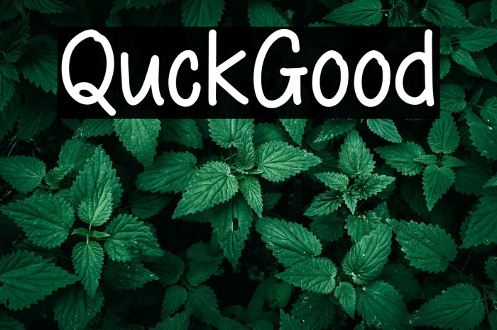 Quick Good Example 1