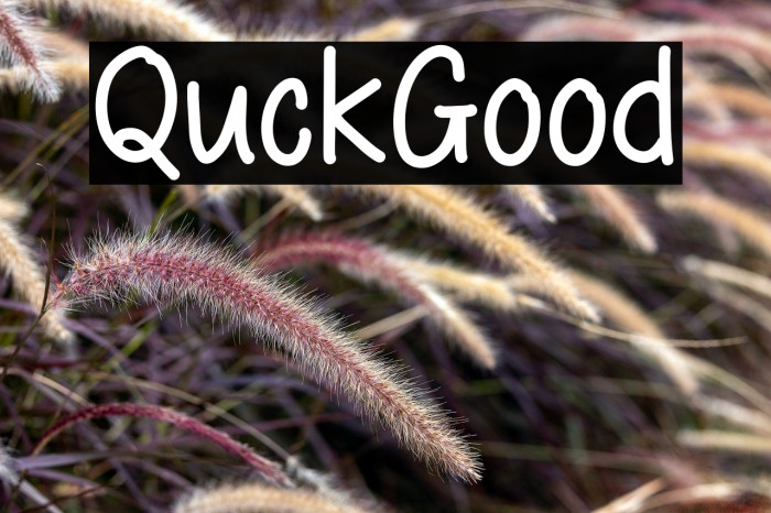 Quick Good Example 2