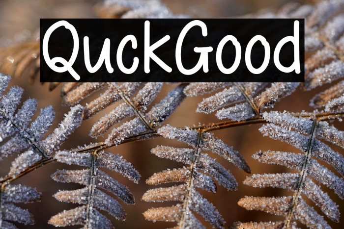 Quick Good Example 3