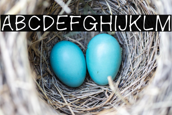 Quick Gram Regular Example 2