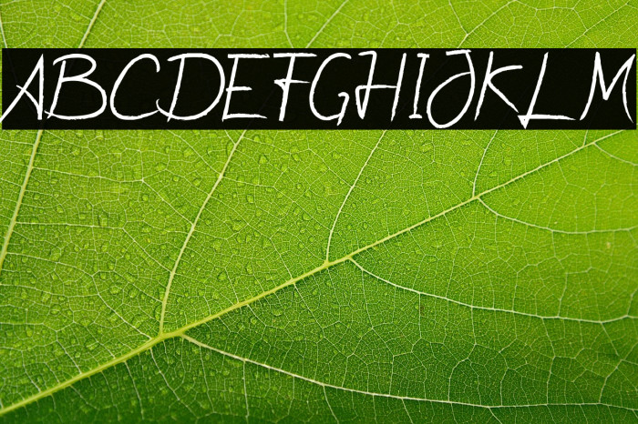 Quick Jump Example 2