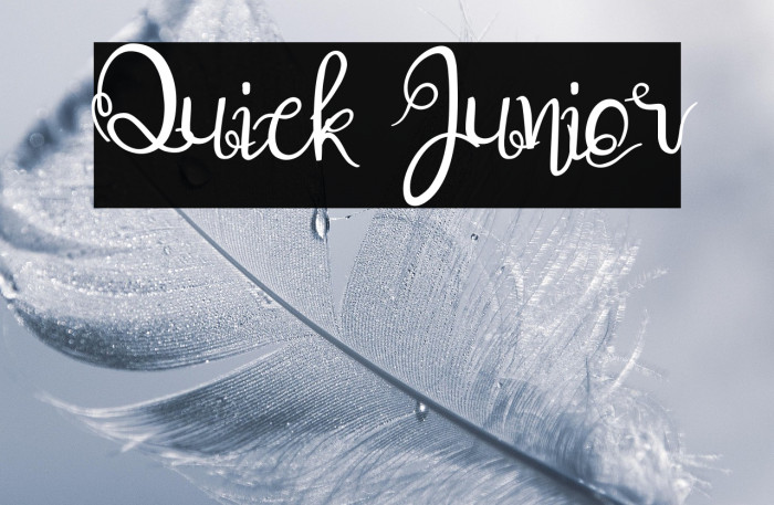 Quick Junior Example 1