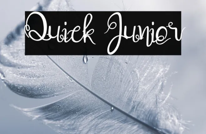 Quick Junior Example 1