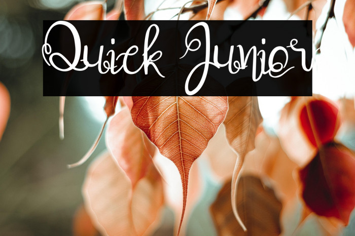 Quick Junior Example 2