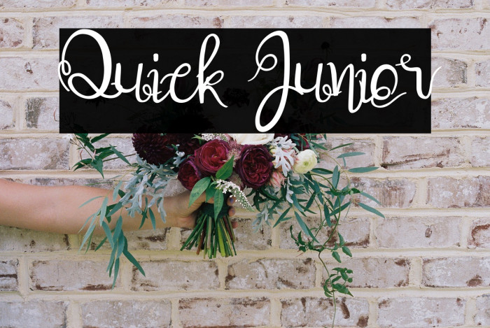 Quick Junior Example 3