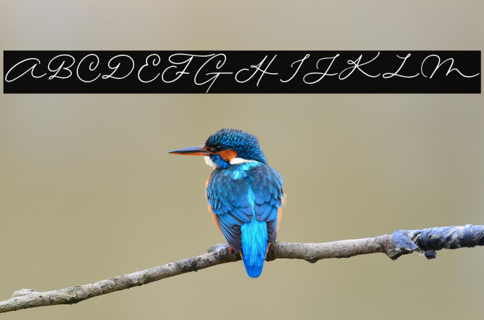 Quick Letter Example 1