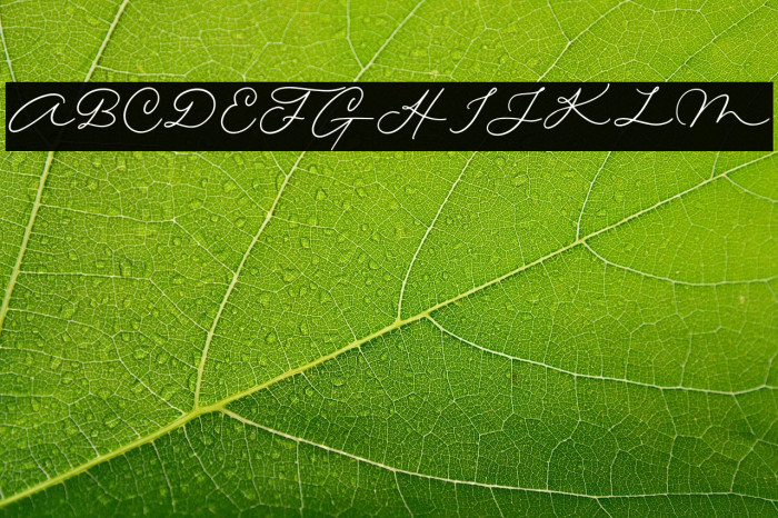 Quick Letter Example 1