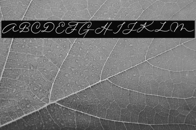 Quick Letter Font examples