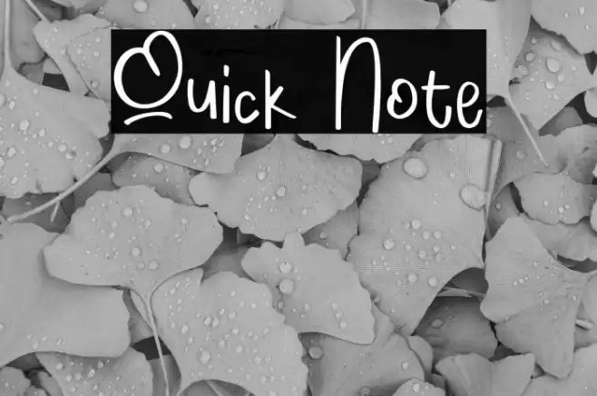 Quick Note Font examples