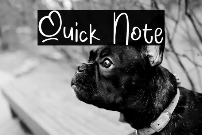 Quick Note Font examples